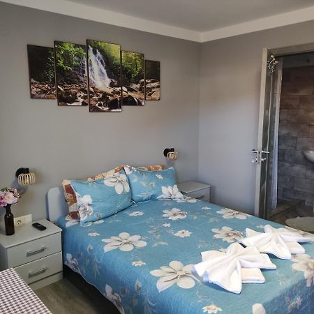 Kovacs Guesthouse Praid Dış mekan fotoğraf